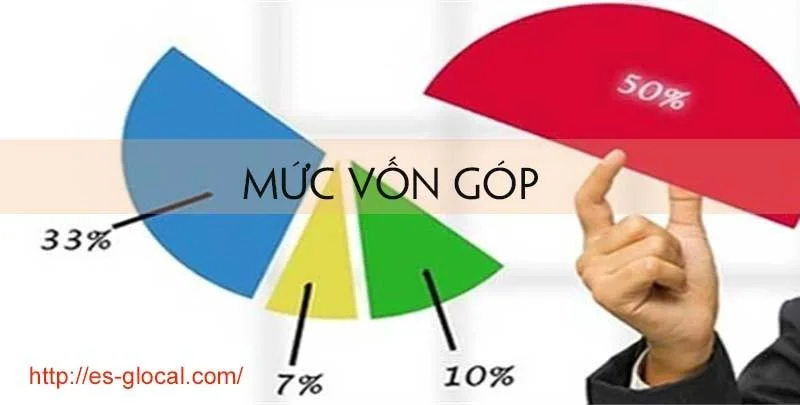 muc-von-gop-cua-kiem-toan-vien-hanh-nghe