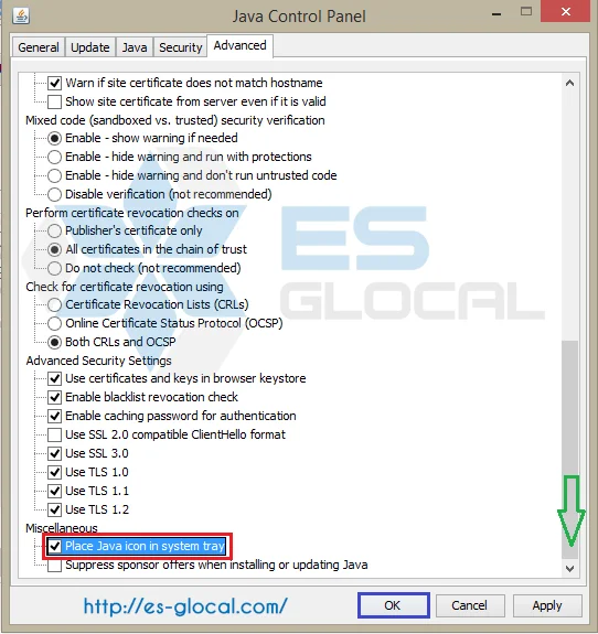 place-java-icon-in-system-tray