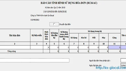 Hướng dẫn lập báo cáo tình hình sử dụng hóa đơn GTGT theo quý