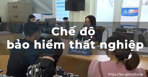 Chế độ bảo hiểm thất nghiệp