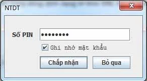 Nhập mã PIN để nộp tờ khai