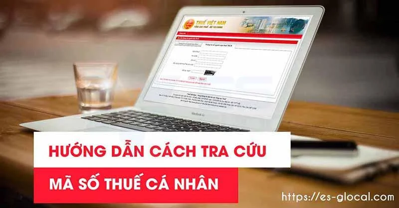 Hướng dẫn tra cứu MST TNCN đơn giản từ A-Z