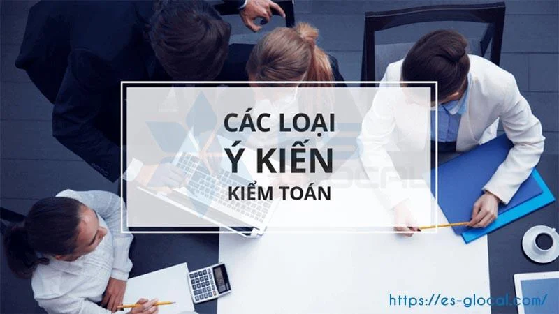 Các dạng ý kiến Kiểm toán BCTC