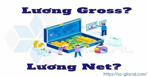 Lương NET và lương Gross là gì? So sánh sự khác nhau giữa Lương NET và Lương GROSS