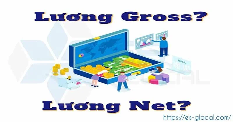 Lương NET và Lương GROSS