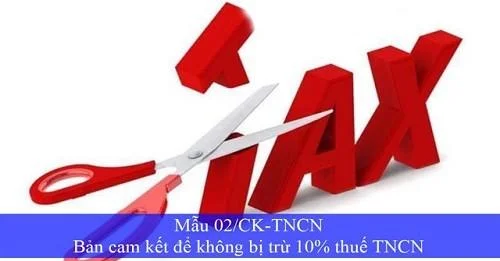 Hướng dẫn làm Mẫu số 02/CK-TNCN-Bản cam kết nhanh chóng và chính xác nhất