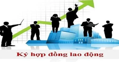 Những quy định mới nhất về ký hợp đồng lao động cần phải biết