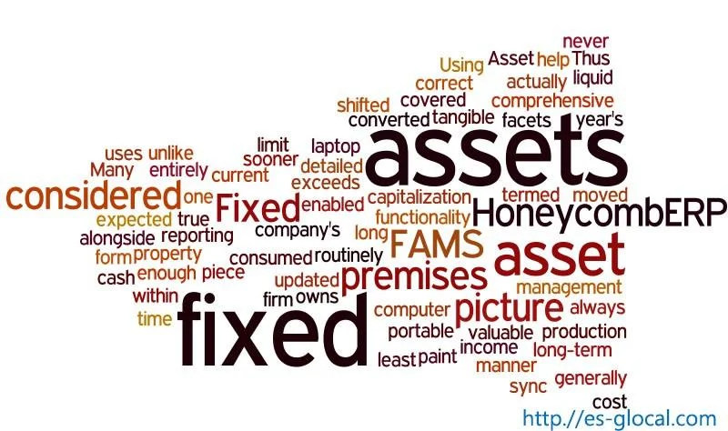 fixed-assets