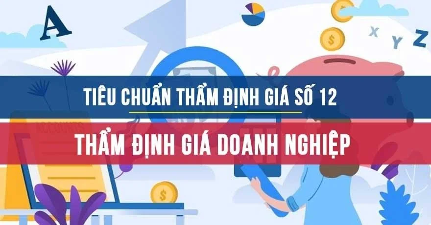 Tiêu chuẩn thẩm định giá Việt Nam số 12 Thẩm định giá doanh nghiệp