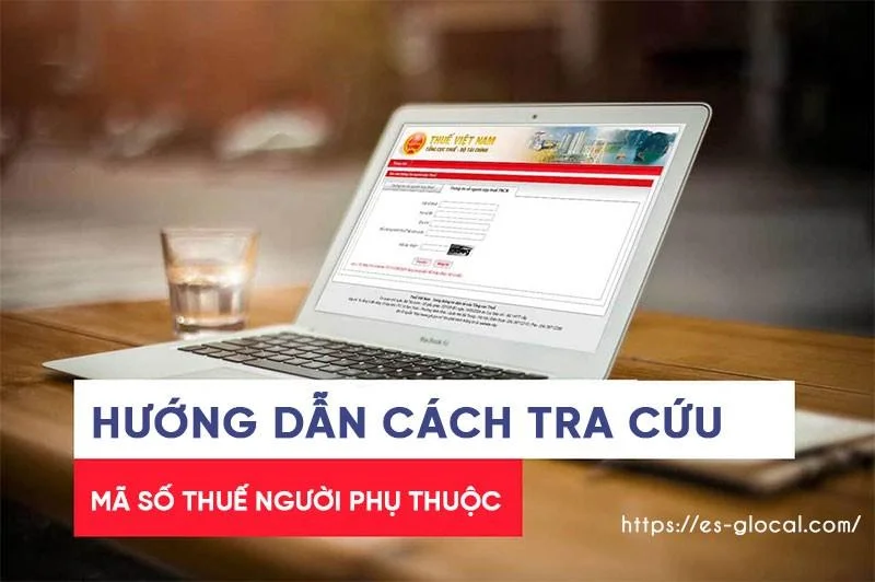 hướng dẫn tra cứu mã số thuế người phụ thuộc