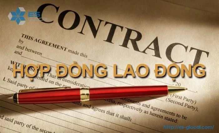 Hợp đồng lao động và những điểm mới trong năm 2021