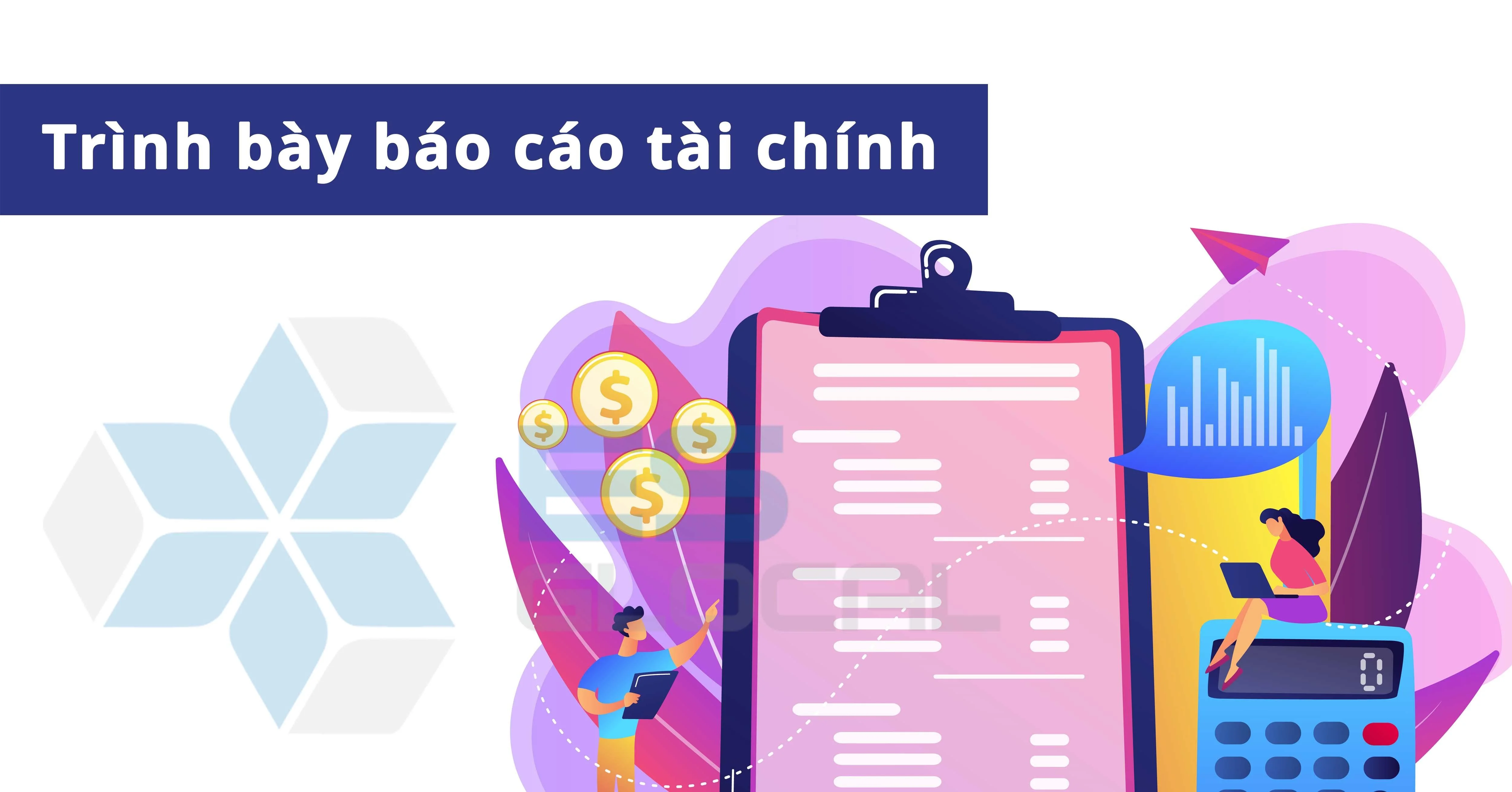 Chuẩn mực kế toán công Việt Nam số 01 về Trình bày báo cáo tài chính