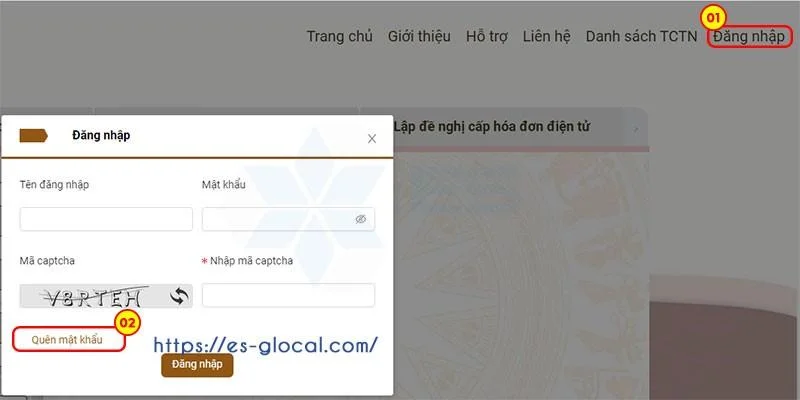 Lấy lại mật khẩu trên trang hoadondientu.gdt.gov.vn