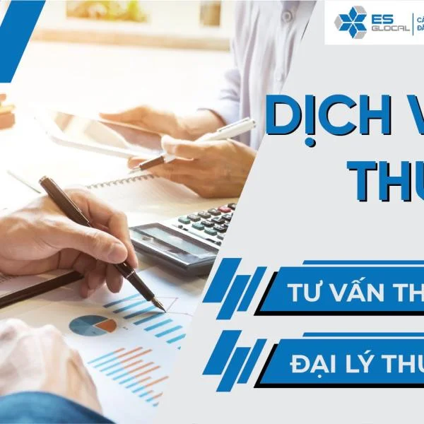 Dịch vụ Đại lý thuế