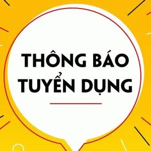 Thông tin tuyển dụng thực tập sinh trợ lý kiểm toán, kế toán năm 2024 – 2025