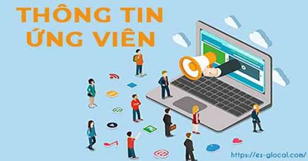 Form thông tin ứng viên Hãng Kiểm toán ES